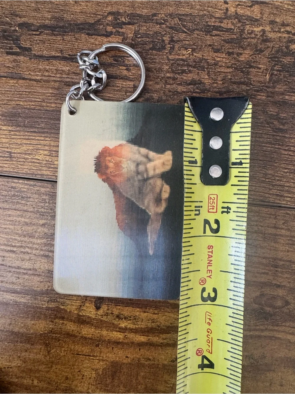 MGM Grand Detroit Casino Lion & Kitten Lenticular 3D Flip Image Card Keychain